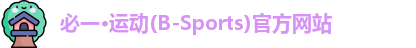 Bsport手机版